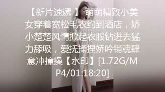 南阳调教母狗少妇（三）-整版-换妻-对话-少妇