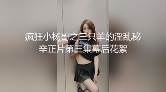 【自整理】足交爱好者的盛宴，丝袜足交，高跟鞋交，让鸡巴不停的起立吐奶，根本停不下来啦！Dame Olga最新高清视频合集【283V】 (51)