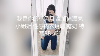 我是你的小月月 高颜值漂亮小姐姐 性感内衣诱惑 露奶 特写BB  (2)