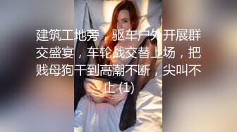  2023-02-23 RAS-206飢渴房客求我幹與痴女巨乳妹沙發上激戰