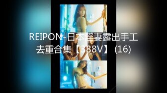 REIPON-日本淫妻露出手工去重合集【388V】 (16)