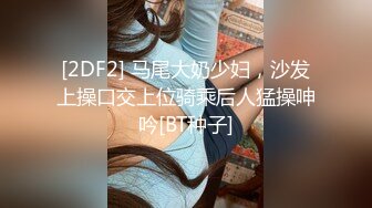 [2DF2] 马尾大奶少妇，沙发上操口交上位骑乘后人猛操呻吟[BT种子]