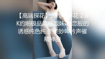 网红美少女押尾猫之圣诞蕾姆