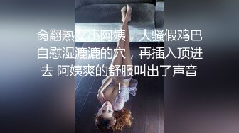 肏翻熟女小阿姨，大骚假鸡巴自慰湿漉漉的穴，再插入顶进去 阿姨爽的舒服叫出了声音！