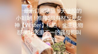 ❤️最新订阅精品！天使般的小姐姐！推特S级身材反差女神【Wister】私拍，金主玩物怼操3P表里不一的骚母狗叫声一绝