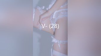 V- (28)