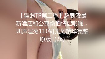 女上位一插到底