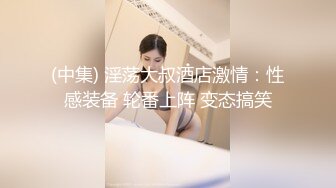 (中集) 淫荡大叔酒店激情：性感装备 轮番上阵 变态搞笑