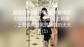 反差的正经少妇