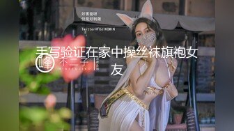 手写验证在家中操丝袜旗袍女友