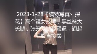 STP29072 新人下海苗条御姐！一头长发情趣装！掏出圆润小奶子揉捏，多毛骚穴特写，翘起屁股扒开看洞