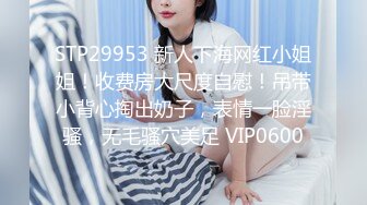 BLX0062 麻豆传媒 家庭主妇的约炮日记 苏语棠