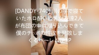 [DANDY-740] 川の字で寝ていたホロ酔い巨乳女友達2人が布団の中に潜り込んできて僕のチ○ポで性欲を発散しまくるハーレム逆3P