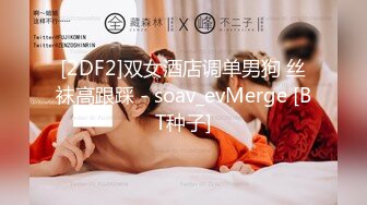 [2DF2]双女酒店调单男狗 丝袜高跟踩 - soav_evMerge [BT种子]