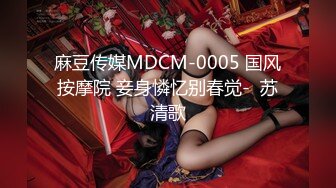 麻豆传媒最新出品 MDX0245 租借女友 暴雨之夜激情抽插 白思吟