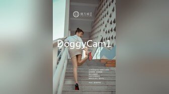 DoggyCam1