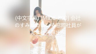 麻豆傳媒MD-0208快感刺激的極致調教-夏晴子 蘇清歌