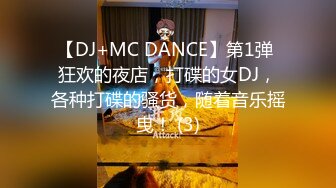 【DJ+MC DANCE】第1弹 狂欢的夜店，打碟的女DJ，各种打碟的骚货，随着音乐摇曳！ (3)