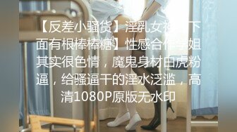 MDX-0233.寻小小.骑乐无穷圣诞夜.麋鹿少女的情趣游戏.麻豆传媒映画