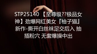 背德性爱刺激 被盯上的人妻  欲求不满的弟媳被丈夫的哥哥侵犯 音羽レオン